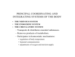 principal coordinating and integrating systems of the body