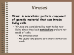 Viruses - Biology Junction