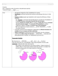 Enzymes - Weebly