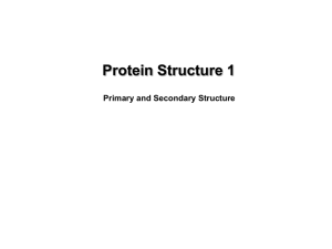 Protein structure - LSU School of Medicine