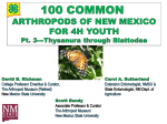 100 Common Arthropods Part 3 Thysanura through