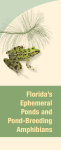Florida`s Ephemeral Ponds and Pond