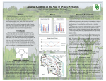 Arsenic Content in the Soil of Waco Wetlands