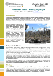 Phytophthora Dieback – detecting the pathogen