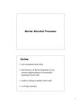 Marine Microbial Processes Outline