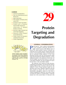 29. protein targeting and degradation