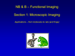 Functional Imaging Graduate Class