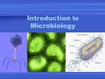 Intro. to Micro. ppt