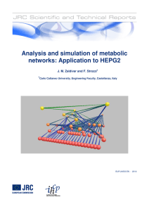 Analysis and simulation of metabolic networks: Application to HEPG2