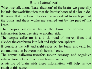6. Brain Lateralization