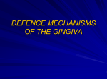 defence mechanisms of the gingiva