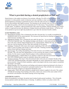 What is provided during a dental prophylaxis at PetCare?
