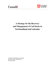 A Strategy for the Recovery and Management of Cod Stocks in