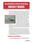 grizzly bears - ConocoPhillips Alaska