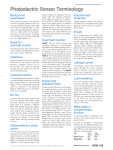 Photoelectric Sensor Terminology