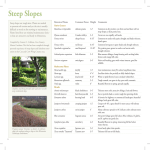 Steep Slopes - University of Minnesota Extension