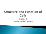 Structure and Function of Cells