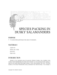 Species Packing in Dusky Salamanders