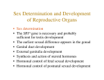 Sex Determination and Development of