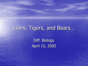Lions, Tigers, and Bears…