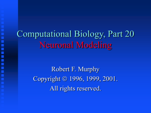 Neuronal Modeling