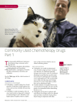 Commonly Used Chemotherapy Drugs Part 1