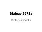 Biology 2672a