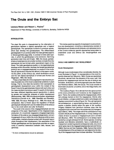 The Ovule and the Embryo Sac