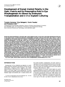 Development of Dorsal-Ventral Polarity in the Optic Vesicle and Its