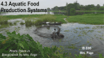 4.3 Aquatic Food Production Systems