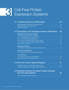Cell-Free Protein Expression Systems