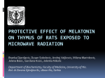 Protective effect of melatonin on thymus of rats exposed to
