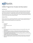 COBOL Programmer Analyst