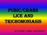 PUBIC LICE, crabs, AND - Komal E