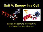 Unit V: Energy in a Cell