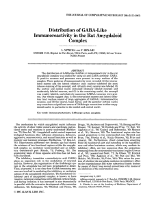 Distribution of GABA‐like immunoreactivity in the rat amygdaloid