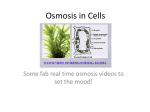 Osmosis in Cells