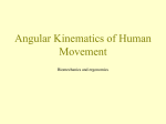 Angular Kinematics of Human Movement