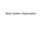 Body System Organization - Appoquinimink High School