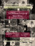 The Guinean Forests of West Africa
