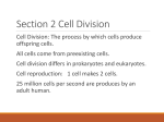 Section-2-Cell-Division