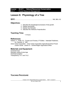 03411-07.6 Physiology of a Tree