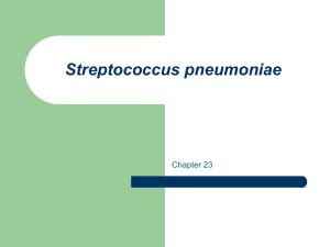 Streptococcus pneumoniae