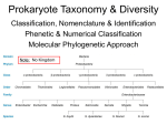 Prokaryote Taxonomy and Diversity