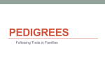 Pedigrees - WordPress.com