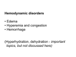 Hemodynamic disorders • Edema • Hyperemia and congestion