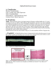 Background: Human intestinal infection with the fish tapeworm, or