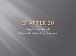 Chapter 20