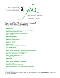 FAQ088 -- Disorders of the Vulva