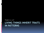 Living Things Inherit Traits in Patterns
